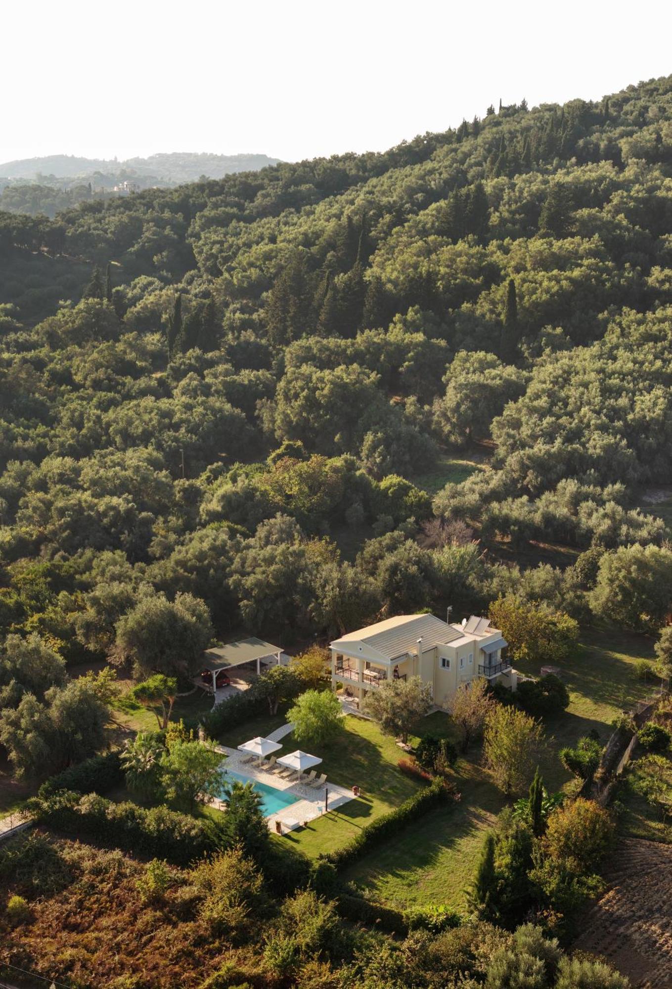 Villa Stefania Agios Georgios Pagon Exterior foto